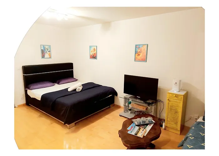 Ruhiges 2 Zimmer In Zentrum アパート ベルン